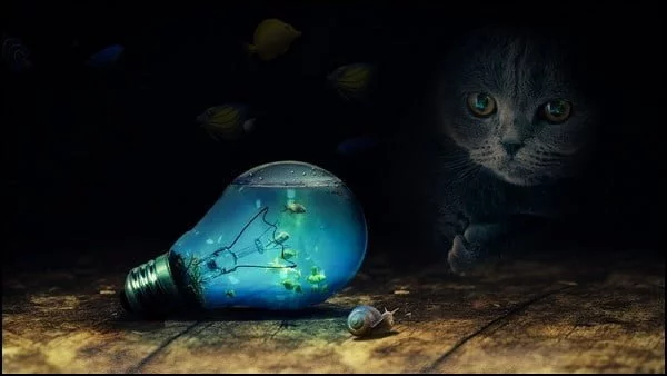 illustration retouche photo photoshop deux illustration retouche photo photoshop deux
