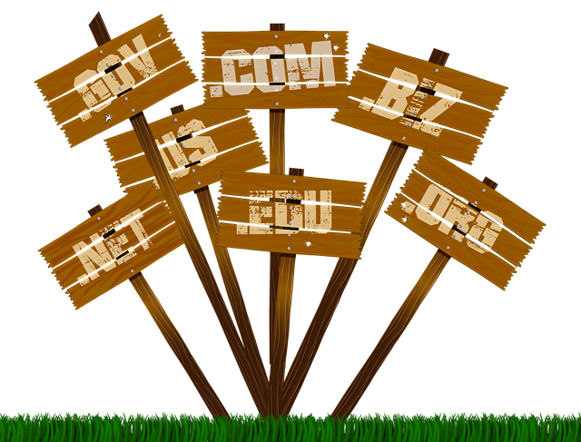 nom de domaine site internet nom de domaine site internet
