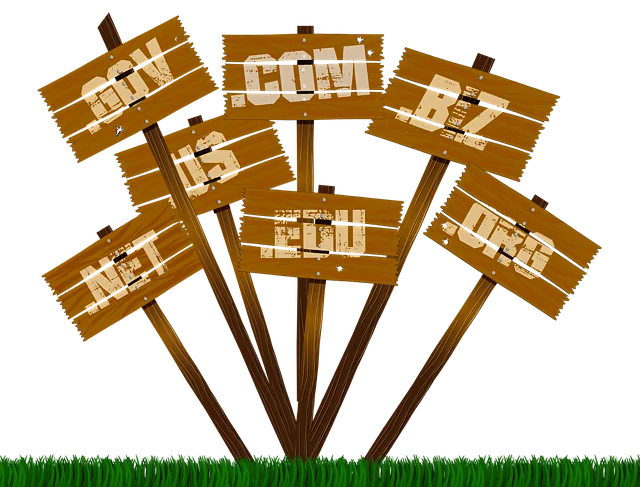 nom de domaine site internet nom de domaine site internet
