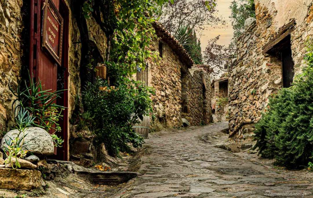 domoveillance Castelnou un