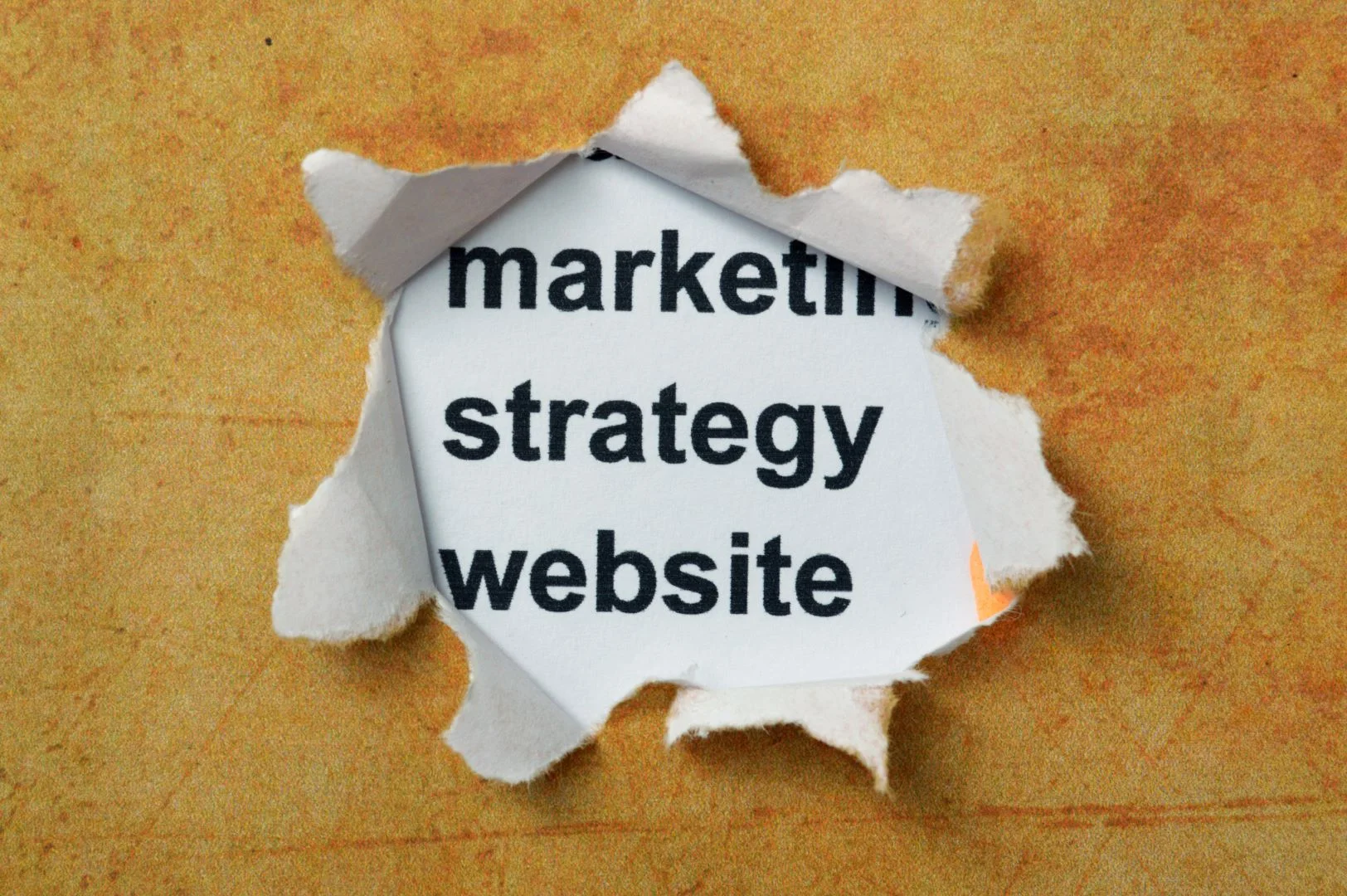 optimisation boutique en ligne rapidite optimisation boutique en ligne rapidite