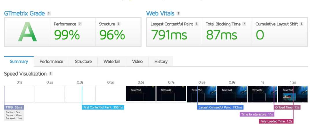 optimisation gtmetrix site internet 1