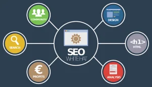 referencement seo perpignan