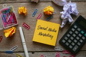 gestion reseaux sociaux perpignan domoveillance agence web image